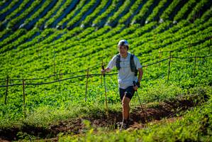 BIB: 
                            <button type="button" onclick="openModal(19160421)" class="btn btn-primary btn-sm float-right btn-popup" data-toggle="modal" data-target=".modal-high-quality">
                        <i class="fas fa-shopping-cart"></i> Add to Cart
                    </button>
                                            <button type="button" onclick="isThisMe(19160421, true)" class="btn btn-success btn-sm float-right btn-popup btn-isme hidden" data-toggle="tooltip" data-placement="bottom" title="นี่คือรูปของคุณใช่ไหม คลิกที่นี่เพื่อเอาเข้าอัลบั้ม">
                        <i class="fas fa-plus"></i> Add to album
                    </button>
                    <button type="button" onclick="isThisMe(19160421, false)" class="btn btn-warning btn-sm float-right btn-popup btn-isnotme hidden">
                        <i class="fas fa-ban"></i> Remove from album
                    </button>